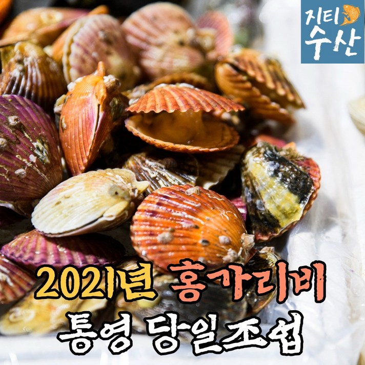 산지직송 국산 통영 제철 생물 홍가리비 세척 가리비 1kg 2kg 3kg 4kg 5kg 구이용 조개구이 캠핑 선물 집에서, 홍가리비 4kg