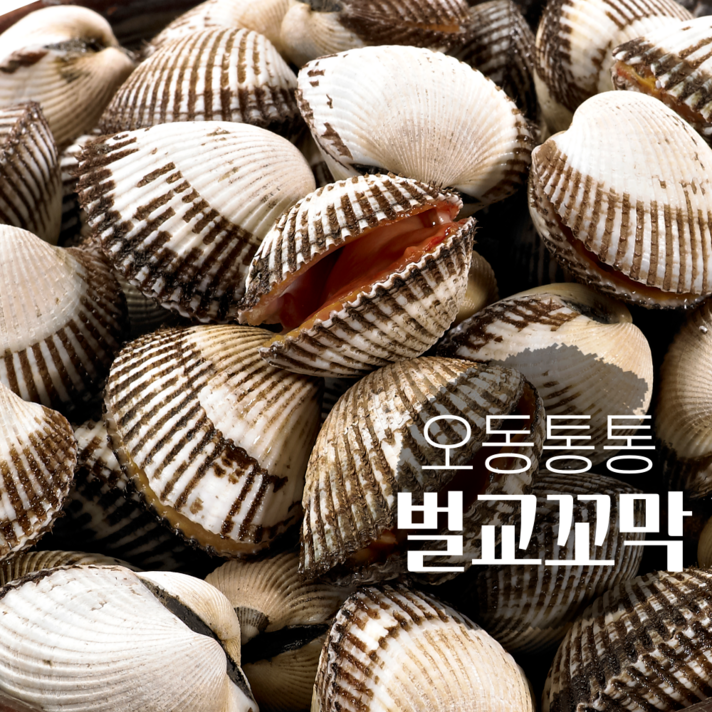 바른맛켓 특상품 벌교 꼬막 제철 새꼬막 산지직송 1kg 2kg 3kg 5kg 10kg, 1개, 벌교 꼬막 2kg