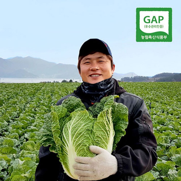 땅끝사랑 GAP 땅끝 해남 절임배추 20kg, 11월19일(금요일도착)