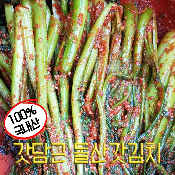 정지현식품 감칠맛 나는 돌산갓김치, 1개, 1kg