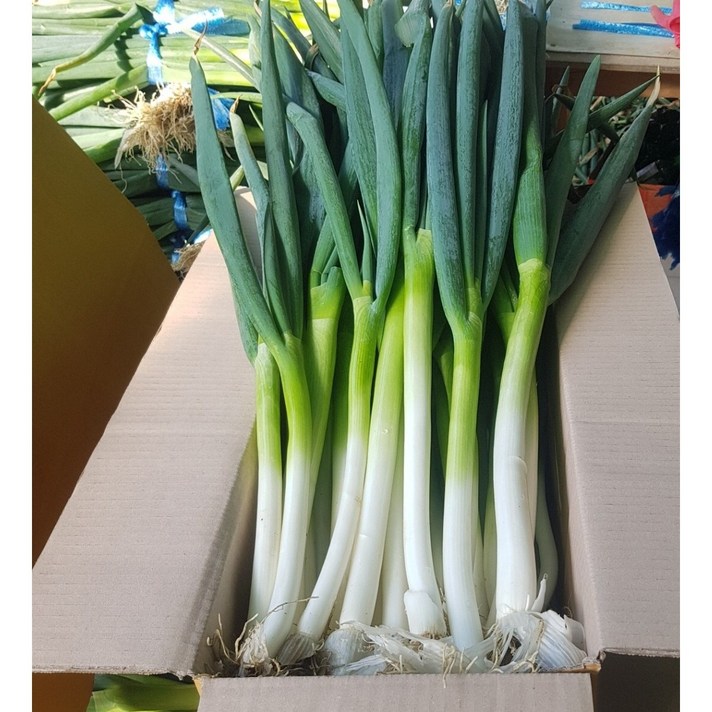 국내산 대파 손질대파 5kg /3kg, 3kg