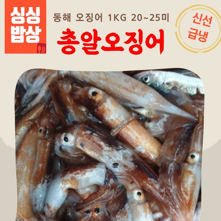 골라원픽-또#> 싱싱밥상 동해 총 급냉 알오징어 냉동오징어 23미내외 총알오징어 생오징어 /s5776EA.a, m&ㄱ: 1, m&ㄱ: 본상품선택”></div>
<div class=