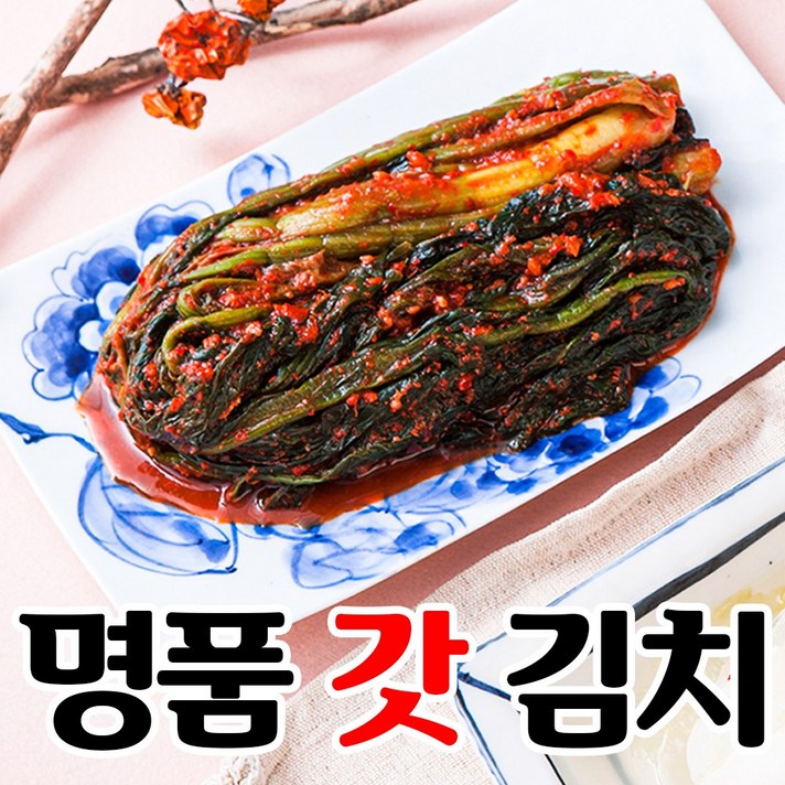 여수 돌산 갓김치 1kg 2kg 3kg 5kg 10kg 국내산 맛집 추천 갓 김치고들빼기 파김치 국산 농협 공장