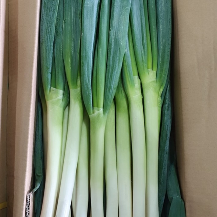 하늘푸드 (10kg) 수입 대파 깐대파 손질대파 식자재, 1box
