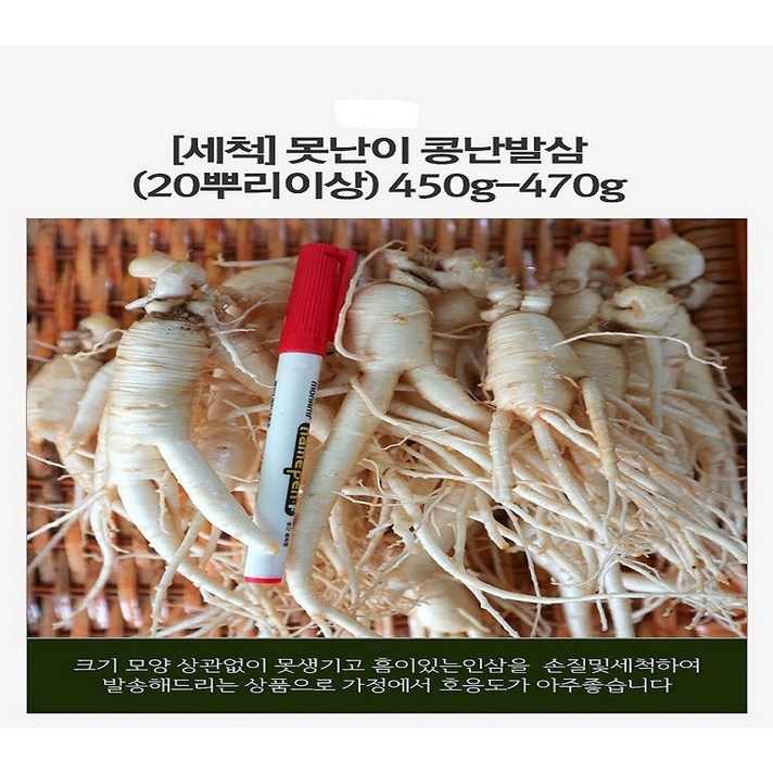 (싱싱햇삼)농가직배송 예쁘게 쭉뻗은원수삼15뿌리이상(세척인삼선택)홍삼다림인삼10뿌리내외, 450-470G(세척)500G난발파삼10뿌리내외