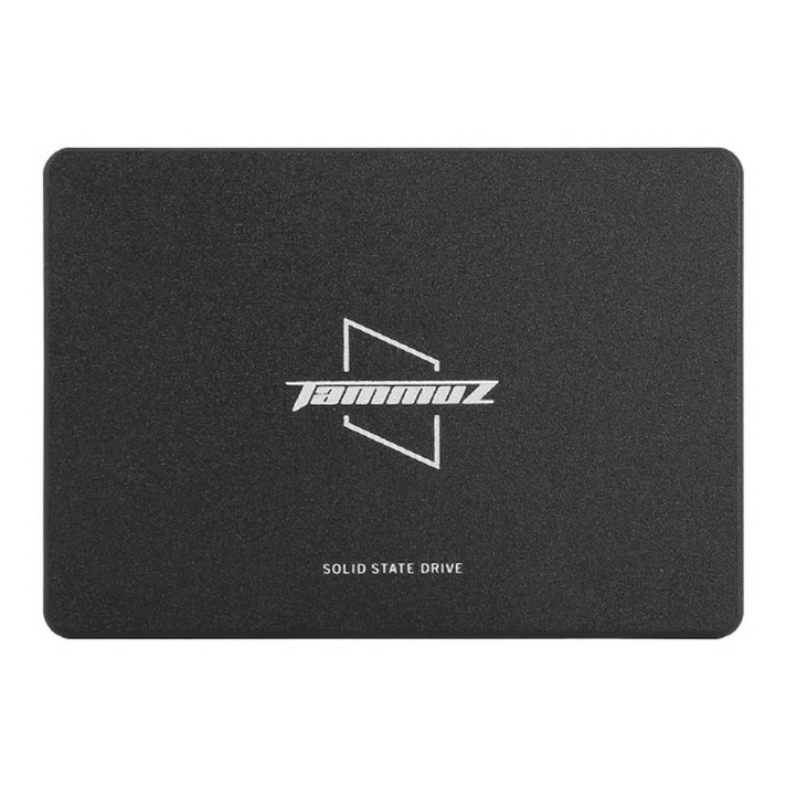 타무즈 GK350 (256GB)/SSD/정품 판매점/3D낸드/SLC캐싱/AS3년/국내생산, 1