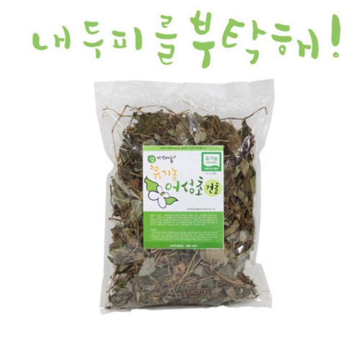 참건강마을 (유기농) 어성초 건초 100g, 4팩, 1봉지