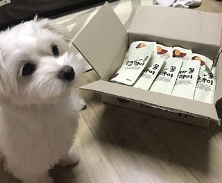 갤러리 이미지