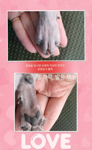 갤러리 이미지