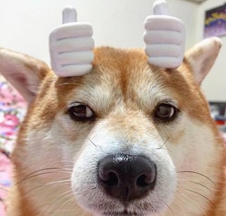 갤러리 이미지
