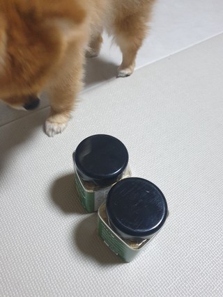 갤러리 이미지