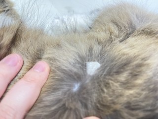 갤러리 이미지