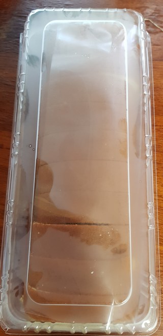 갤러리 이미지