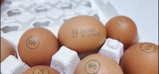 갤러리 이미지