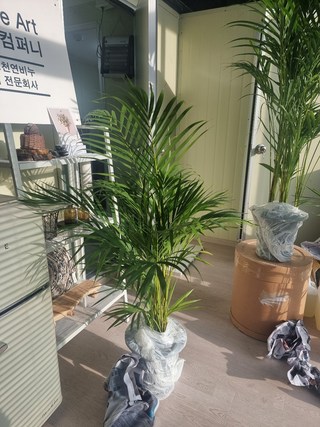 갤러리 이미지
