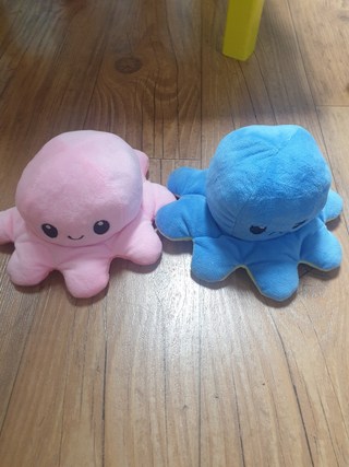 갤러리 이미지