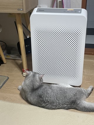 갤러리 이미지
