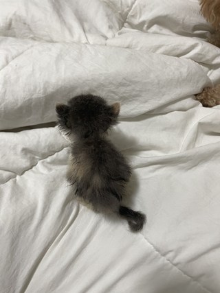 갤러리 이미지