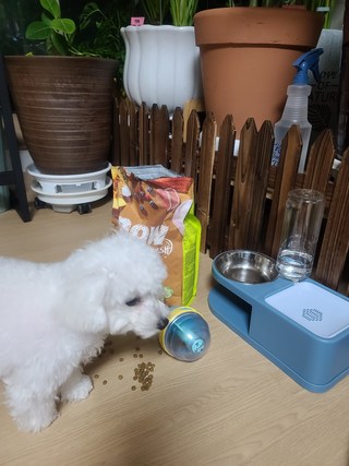 갤러리 이미지