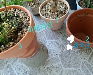 갤러리 이미지