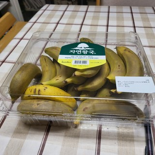 갤러리 이미지