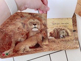 갤러리 이미지