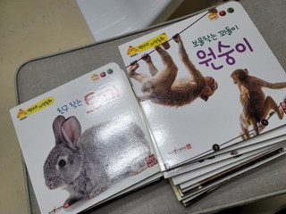 갤러리 이미지