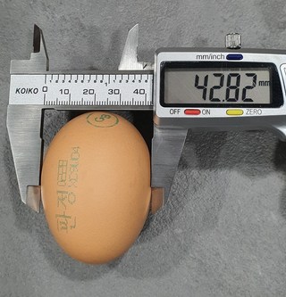 갤러리 이미지