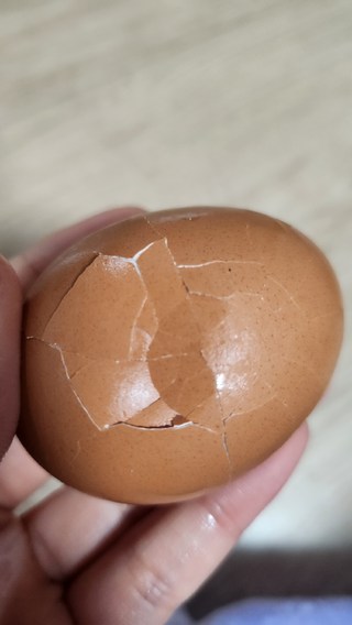 갤러리 이미지
