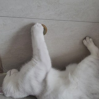 갤러리 이미지