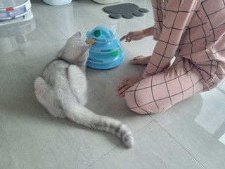 갤러리 이미지