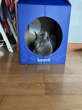 갤러리 이미지