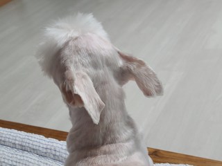 갤러리 이미지