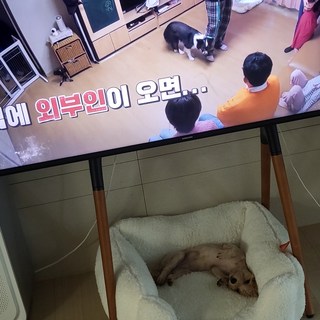 갤러리 이미지