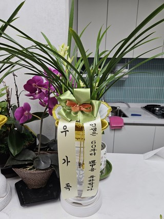 갤러리 이미지