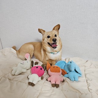 갤러리 이미지
