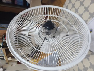 갤러리 이미지