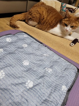 갤러리 이미지
