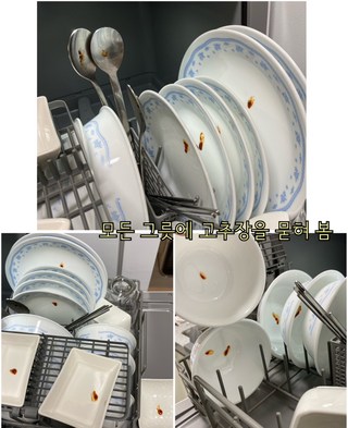 갤러리 이미지