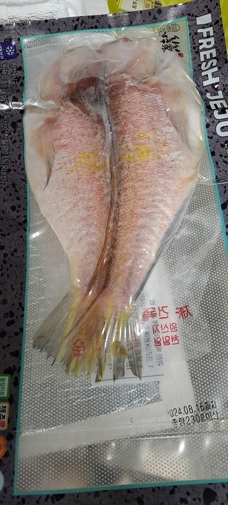 갤러리 이미지
