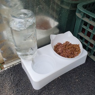 갤러리 이미지