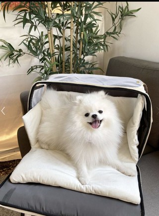갤러리 이미지