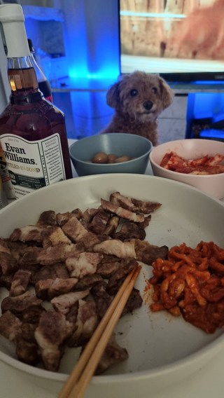 갤러리 이미지