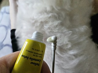 갤러리 이미지