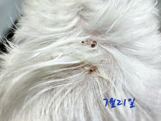 갤러리 이미지