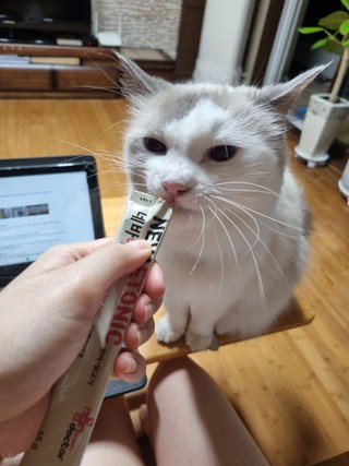 갤러리 이미지