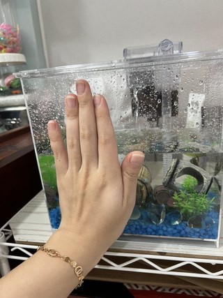 갤러리 이미지