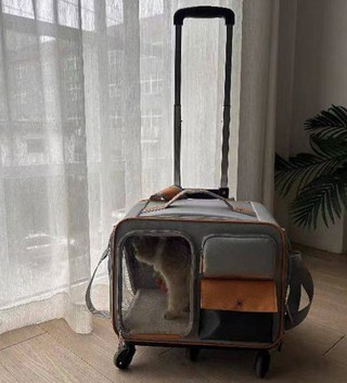 갤러리 이미지