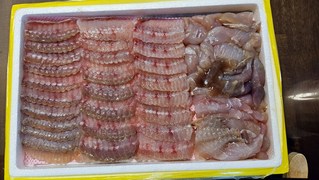 갤러리 이미지