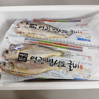 갤러리 이미지